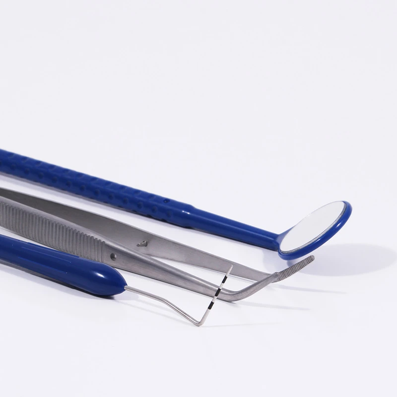 Single Use Dental Instrument Kit D3001